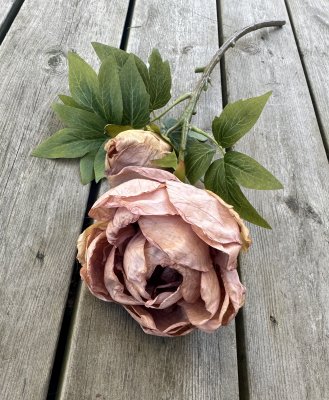 Stor vacker gammelrosa pion i torkad konstgjord modell