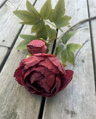 Stor vacker röd pion i torkad konstgjord modell