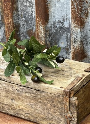 Vacker kvist/gren med oliver och gröna blad olivkvist. Att dekorera med ensam eller flera tillsammans. Ha den som den är eller s