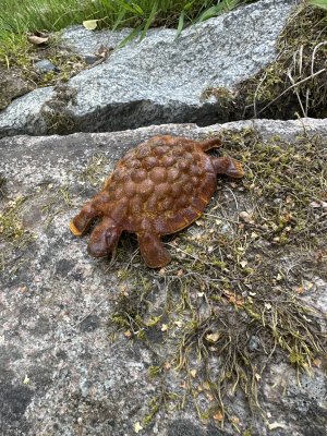 Sköldpadda i rost att dekorera med