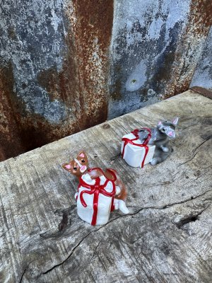 Söta och gulliga katter med paket Designade Camilla Ståhl 