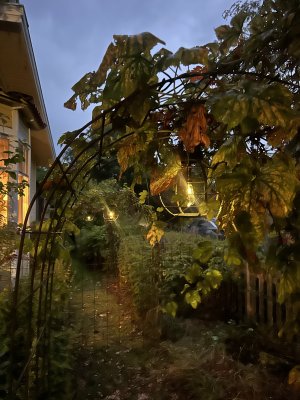 Ruffig hängandes lampa med solcell