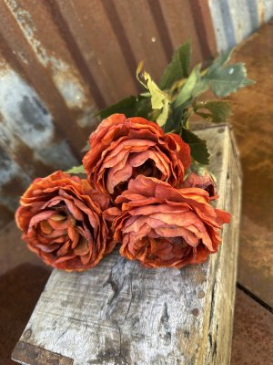 Höst orange ros med gröna blad