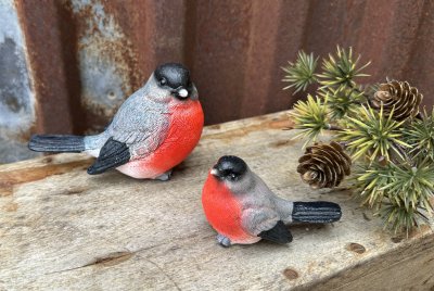 Fågel Domherre att dekorera med 