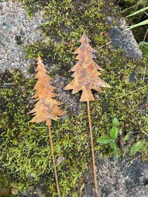 Gran i rost på stick / pinne