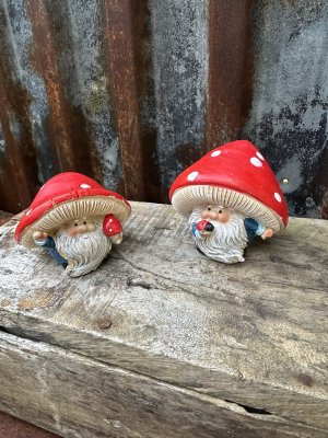 Flugsvamps tomte med svamp hatt