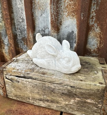 Söt vit kanin som ligger på mage