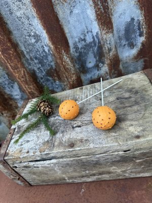 Apelsin med nejlikor på stick att dekorera med
