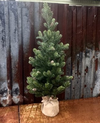 Stor hög grön gran / julgran med kottar 
