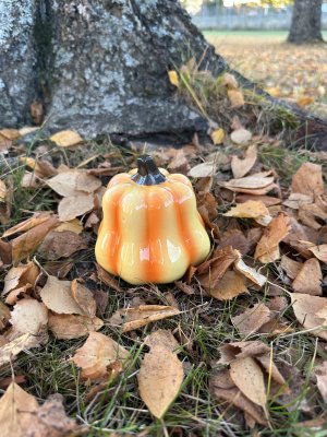 Orange pumpa i porslin att dekorera med 