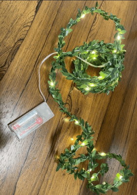 Ljusslinga med gröna blad 