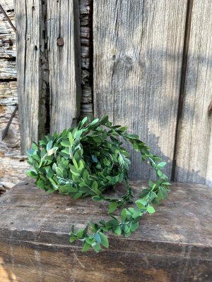 Ljusslinga med gröna blad 
