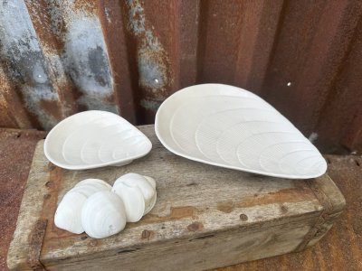 Vitt fat snäcka i porslin