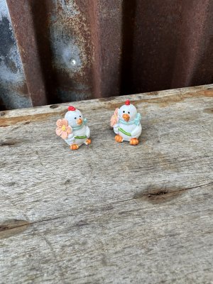 Liten söt vit höna med blomma