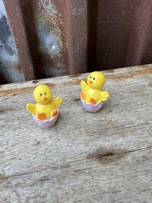 Liten söt gul kyckling i ägg