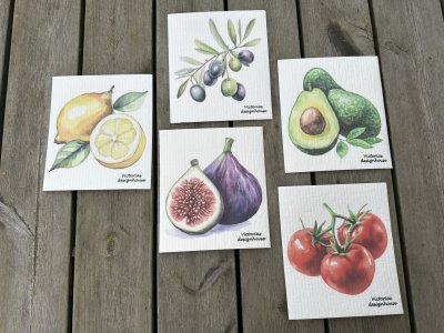 Disktrasa medelhav med flera olika motiv 