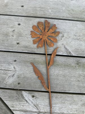 Rostig blomma på stick med blad 