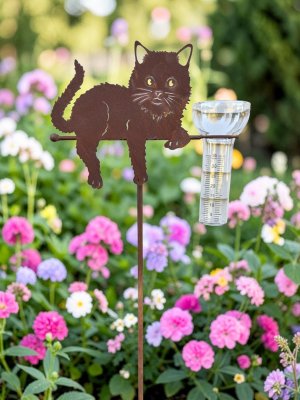 Regnmätare liggande katt i rost