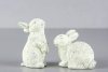 Söt vit vår och påsk kanin