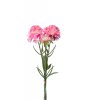Scabiosa blomma i tre olika nyanser -Vit -Rosa -Lila En vacker sommar blomma som passar lika bra ensam i en vas som i en bukett