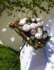 Clematis girlang med vita blommor