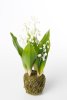 Vacker och verklighetstrogen konstgjord planta med många vita liljekonvaljer och gröna bland. Mossbeklädd nertill virad med dis