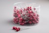 Ljusnål / dekorations nål med rund röd pärla upptill, fin att sticka ner i en blomgrupp eller att sätta upp foton med. Finns i t