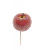 Rött äpple med is/frost kristaller. Mindre i modellen att dekorera med. Välarbetat, vackert och välarbetat konstgjord modell. Li