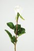 Vacker vit verklighetstrogen konstblomma ros i outslagen knoppig modell med skaft och blad. Att dekorera med ensam eller tillsa