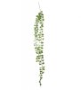 Grön Senecio kvist , gröna plätt blad på tråd kvist att dekorera med. Konstgjord välarbetad fler grenad modell. Att ha i en kruk