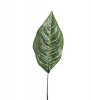 Grönt större blad på kvist att pynta, pyssla och dekorera med. Använd tillsammans med andra lösa blommor och bygg / kombinera di