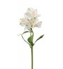 Alstromeria blomma en vacker och elegant blomma med klock formade blommor och gröna blad. Blommorna går i en fin mix av vitt med