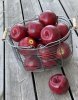 Rött Äpplen att pynta och dekorera med. Välarbetade konstgjorda med verklighetstrogen känsla. Att fylla en frukt skål med eller
