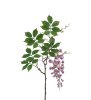 Visteria blomma med vackert fall