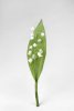 Vacker vit vår blomma Liljekonvalj med blad. Verklighetstrogen och välarbetad konstblomma. Passande att sätta i en mindre flaska