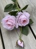 Vacker vit ros buskros i hög modell. Med två utslagna blommor, en knopp och flera gröna blad. Lika vacker att ha ensam i en vas 