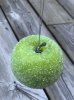 Grönt vinter äpple med is/frost kristaller. Finns i två storlekar -Större -Mindre Båda med snöre upptill ifall man vill hänga up
