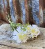 Bukett med tre stycken Scabiosa blommor i tre olika storlekar och tre olika nyanser -Vit -Rosa -Lila En vacker sommar blomma so