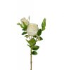 Vacker vit ros / buskros kvist med flera blommor och gröna blad. Välarbetad vacker konstgjord ros med hög verklighets trogen kän