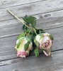 Vacker gul rosa ros / buskros kvist med flera blommor och gröna blad. Välarbetad vacker konstgjord ros med hög verklighets troge