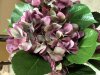 Hortensia i milda lavendel lila nyanser. Välarbetad, verklighetstrogen konstblomma. I kvist/gren modell om en blomma omgiven av