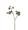 Jordgubbskvist med jordgubbar och gröna blad