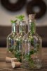 Gammeldags inspirerad och designad flaska i glas med kork. Finns i flera modeller -Högre / större 400ml -Mellan -Mindre -Mini Fö