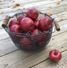 Rött äpple i mindre modell. Välarbetat och smakfullt att pynta och dekorera med. Fyll en skål alt en korg med flera äpplen eller