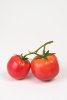 Tomater konstgjorda till dekoration i verklighetstrogen design. I par om två tomater som sitter ihop tillsammans med en grön väx