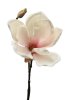 Magnolia kvist med blomma och knoppar. Går i en ljus rosa nyans blandat med vitt. Romantisk vacker verklighets trogen konstblomm