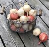 Lök konstgjord att dekorera med. Finns i två nyanser/modeller -Gul/Cream -Röd/Ljus orange Att fylla en skål/korg med eller dekor