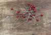 Ljusnål / dekorations nål med rund röd pärla upptill, fin att sticka ner i en blomgrupp eller att sätta upp foton med. Finns i t