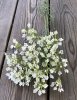 Vacker vit Allium blomma i högre större utslagen modell. En vacker blomma som gör sig lika vacker ensam som till utfyllnad i en