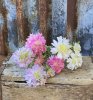 Bukett med tre stycken Scabiosa blommor i tre olika storlekar och tre olika nyanser -Vit -Rosa -Lila En vacker sommar blomma so